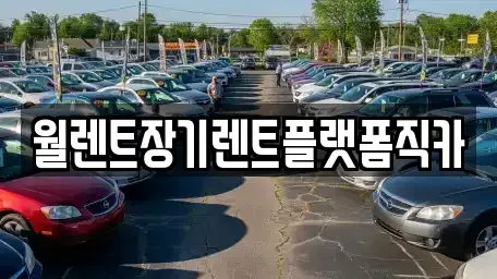 경기 안양시 동안구 장기렌트카 전문 월렌트장기렌트플랫폼직카