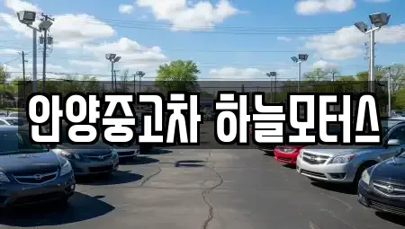 경기 안양시 동안구 중고차 전문 안양중고차 하늘모터스