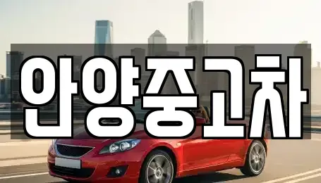 경기 안양시 동안구 중고차 전문 안양중고차