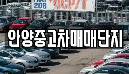 경기 안양시 동안구 중고차 전문 안양중고차매매단지