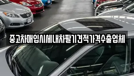 경기 안양시 동안구 중고차매입 전문 중고차매입시세내차팔기견적가격수출업체