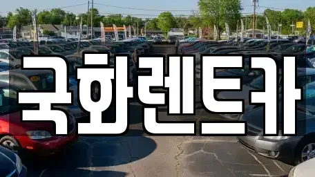 경기 양주시 봉양동 렌트카 전문 국화렌트카