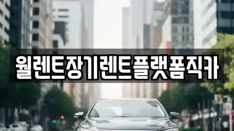 경기 양주시 회암동 장기렌트카 전문 월렌트장기렌트플랫폼직카