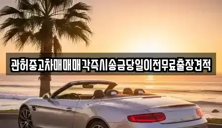 경기 양주시 회암동 중고차매매 전문 관허중고차매매매각즉시송금당일이전무료출장견적
