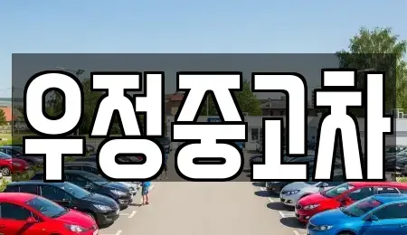 경기 양주시 회암동 중고차매매 전문 우정중고차