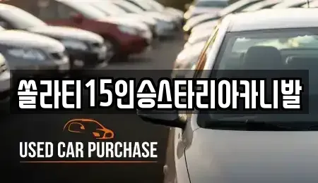 경기 양평군 개군면 렌트카 전문 쏠라티15인승스타리아카니발