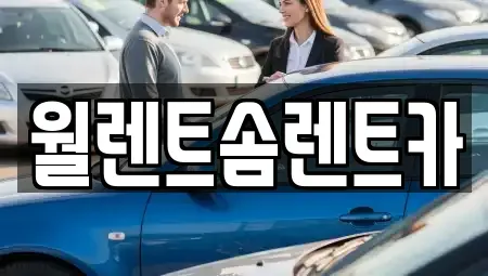 경기 여주시 가남읍 렌트카 전문 월렌트솜렌트카