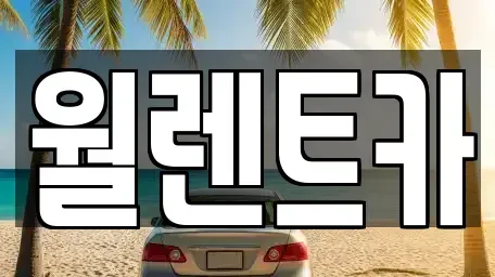 경기 여주시 가남읍 렌트카 전문 월렌트카
