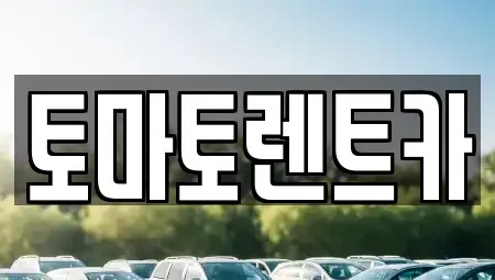 경기 여주시 가남읍 렌트카 전문 토마토렌트카