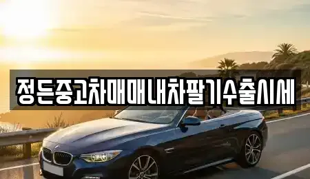 경기 여주시 강천면 중고차 전문 정든중고차매매내차팔기수출시세