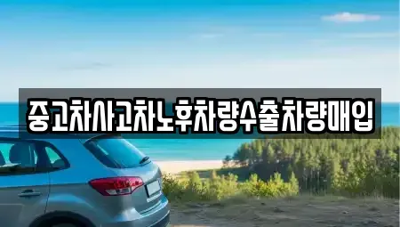 경기 여주시 하동 중고차매입 전문 중고차사고차노후차량수출차량매입