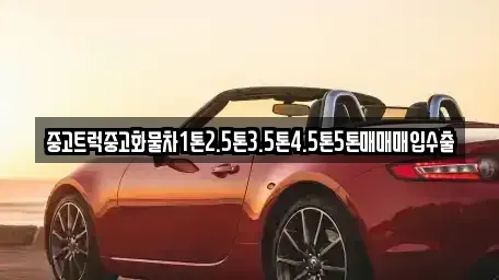 경기 여주시 현암동 중고차매입 전문 중고트럭중고화물차1톤2.5톤3.5톤4.5톤5톤매매매입수출