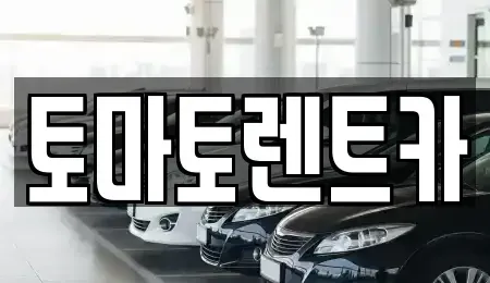 경기 여주시 홍문동 렌트카 전문 토마토렌트카