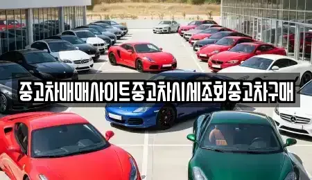 경기 여주시 홍문동 중고차매매 전문 중고차매매사이트중고차시세조회중고차구매