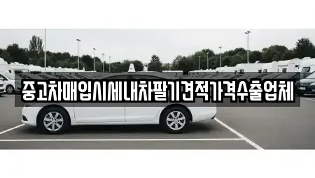 경기 연천군 연천읍 중고차 전문 중고차매입시세내차팔기견적가격수출업체