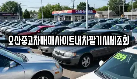 경기 오산시 서랑동 중고차매매,단기렌트카,중고차매입,장기렌트카,중고차,렌트카