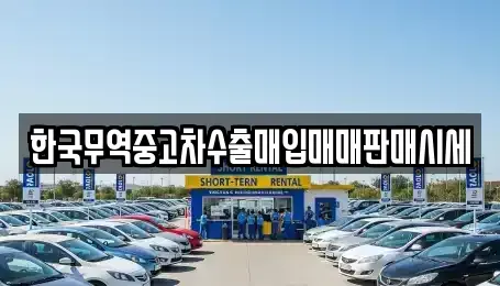 경기 오산시 오산동 중고차 전문 한국무역중고차수출매입매매판매시세