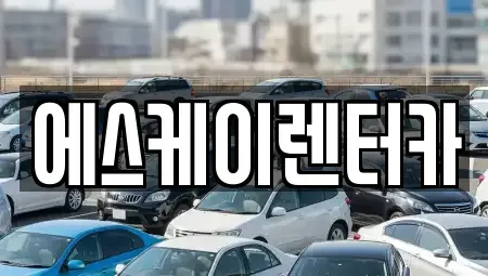 경기 용인시 기흥구 영덕동 렌트카 전문 에스케이렌터카