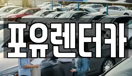 경기 용인시 기흥구 영덕동 장기렌트카 전문 포유렌터카