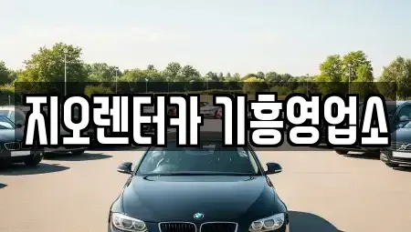 경기 용인시 수지구 단기렌트카 전문 지오렌터카 기흥영업소
