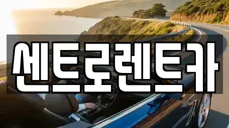 경기 용인시 수지구 렌트카 전문 센트로렌트카