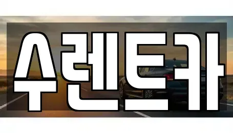 경기 용인시 수지구 렌트카 전문 수렌트카