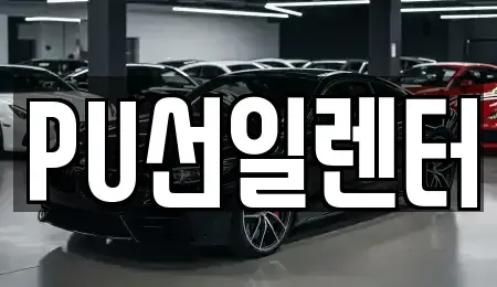 경기 용인시 수지구 장기렌트카 전문 PU선일렌터