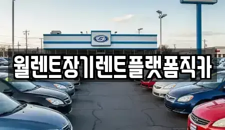 경기 용인시 수지구 장기렌트카 전문 월렌트장기렌트플랫폼직카