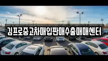 경기 용인시 수지구 중고차 전문 김프로중고차매입판매수출매매센터