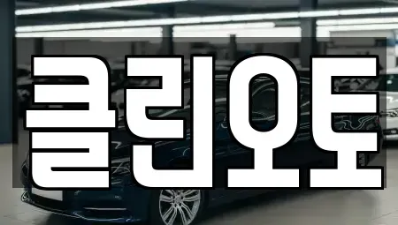 경기 용인시 수지구 중고차 전문 클린오토