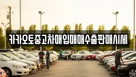경기 용인시 수지구 중고차매입 전문 카카오토중고차매입매매수출판매시세
