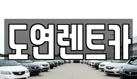 경기 의정부시 용현동 장기렌트카 전문 도연렌트카
