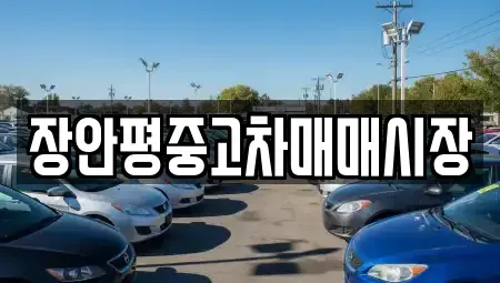 경기 의정부시 용현동 중고차 전문 장안평중고차매매시장