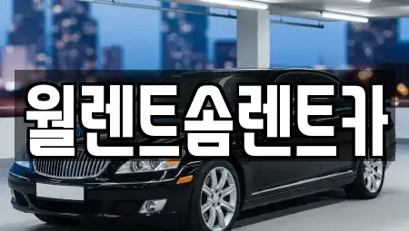 경기 이천시 송정동 렌트카 전문 월렌트솜렌트카