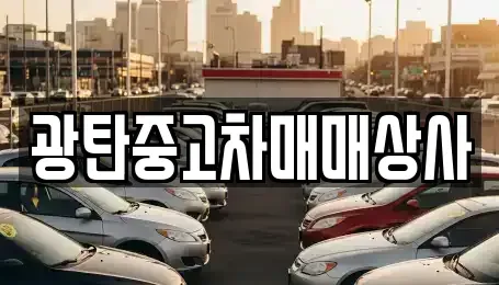 경기 파주시 광탄면 중고차 전문 광탄중고차매매상사