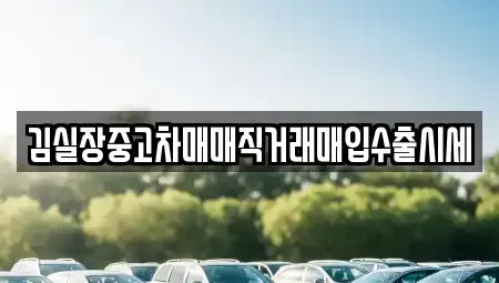 경기 파주시 광탄면 중고차 전문 김실장중고차매매직거래매입수출시세