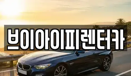 경기 파주시 교하동 렌트카 전문 브이아이피렌터카