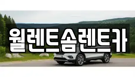 경기 파주시 교하동 렌트카 전문 월렌트솜렌트카