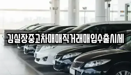 경기 파주시 교하동 중고차 전문 김실장중고차매매직거래매입수출시세