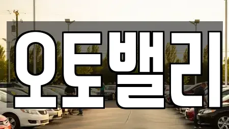 경기 파주시 교하동 중고차 전문 오토밸리