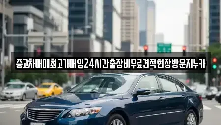 경기 파주시 교하동 중고차 전문 중고차매매최고가매입24시간출장비무료견적현장방문지누카