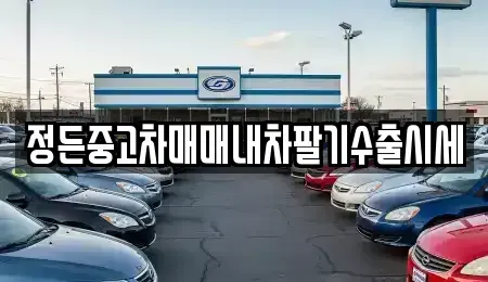 경기 파주시 연다산동 중고차 전문 정든중고차매매내차팔기수출시세