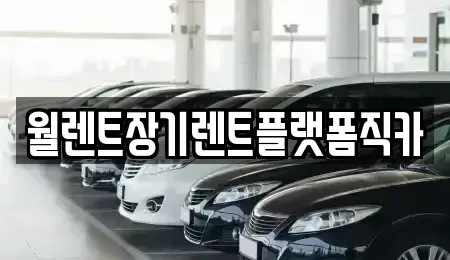 경기 평택시 독곡동 렌트카 전문 월렌트장기렌트플랫폼직카