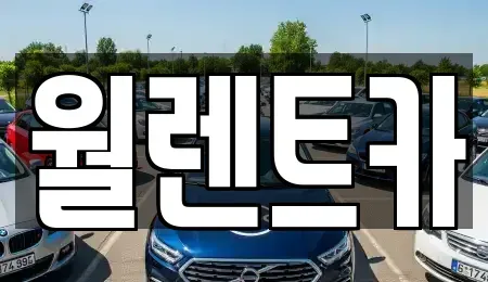 경기 평택시 독곡동 렌트카 전문 월렌트카