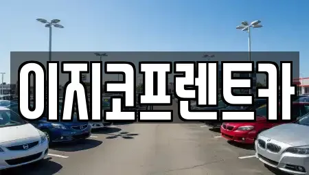 경기 평택시 독곡동 렌트카 전문 이지코프렌트카