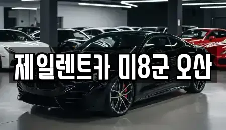 경기 평택시 독곡동 렌트카 전문 제일렌트카 미8군 오산