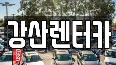 경기 평택시 동삭동 렌트카 전문 강산렌터카