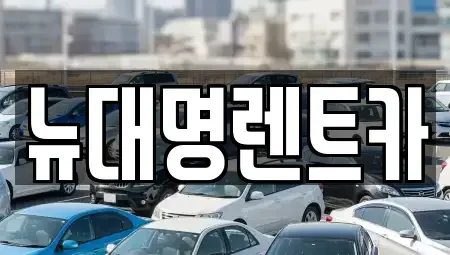경기 평택시 동삭동 렌트카 전문 뉴대명렌트카