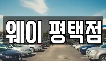 경기 평택시 동삭동 장기렌트카 전문 웨이 평택점
