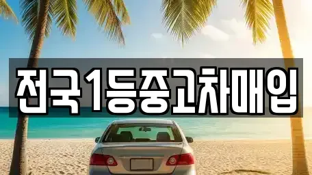 경기 평택시 동삭동 중고차매입 전문 전국1등중고차매입